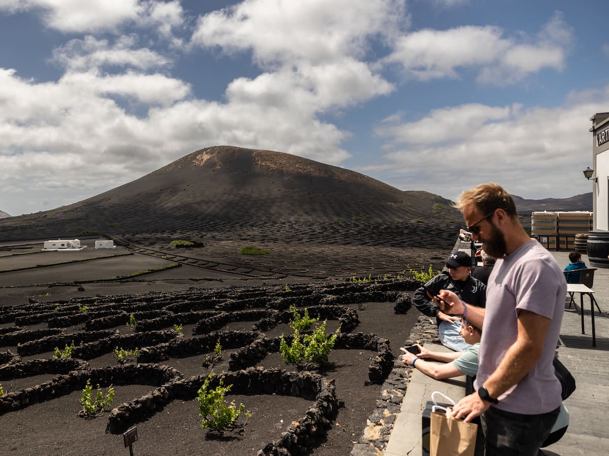 El enoturismo es ya una actividad consolidada en Canarias: "Visitan las bodegas unas 800.000 personas al año"