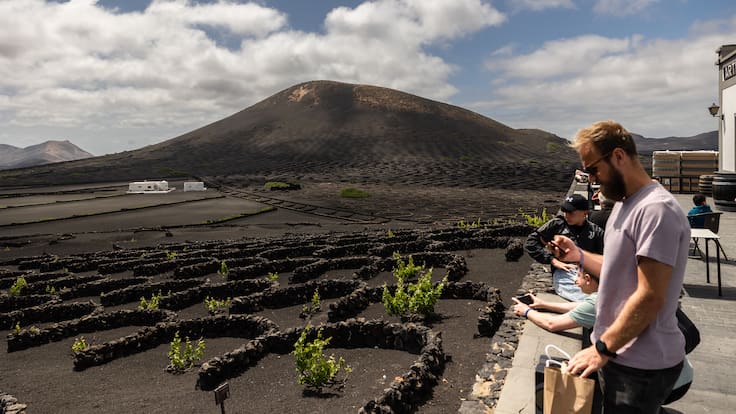 Gabriel Santos, de la Cátedra de Enoturismo, estima que al año visiten las bodegas canarias unos 800.000 turistas