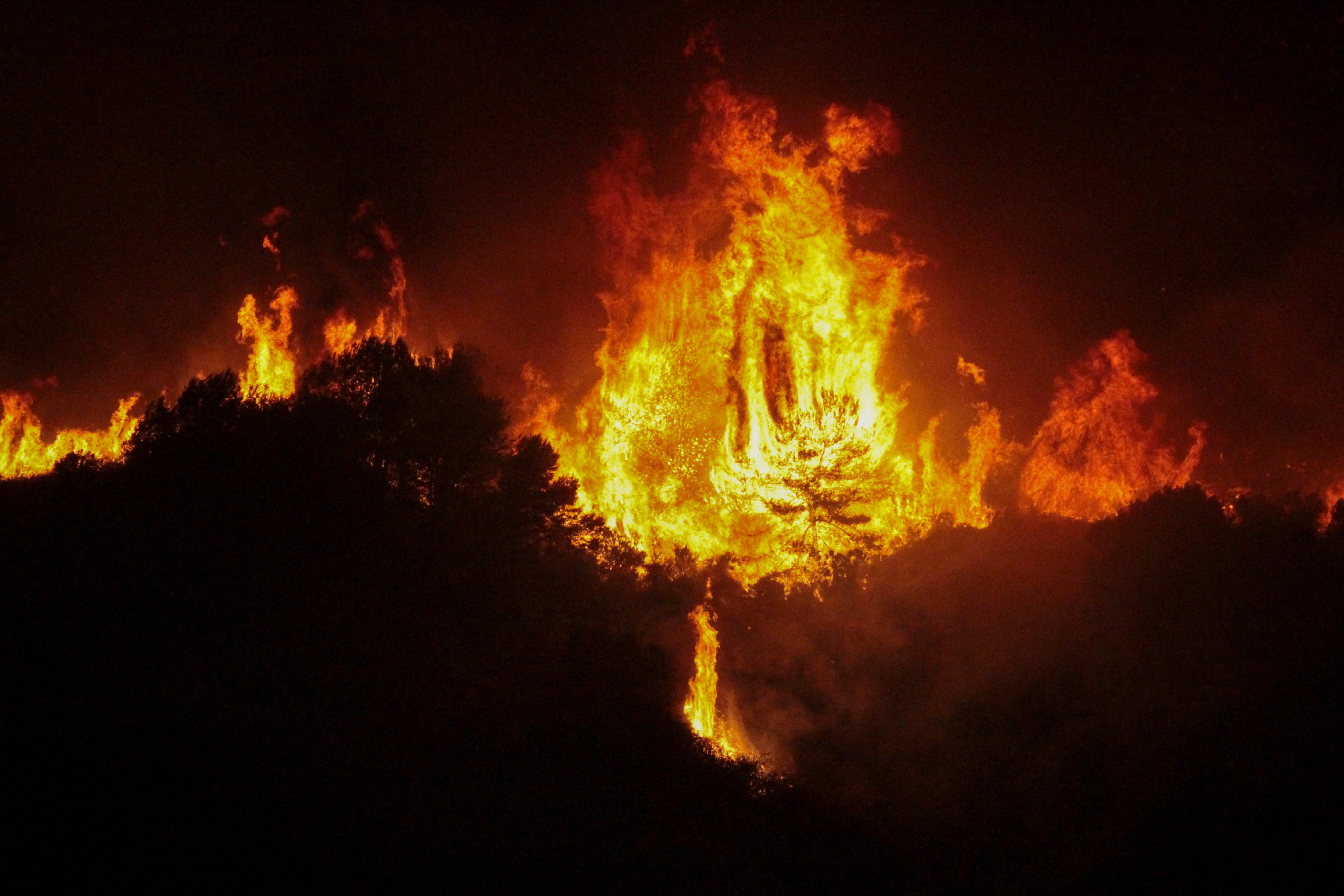 Los bomberos se han desplazado urgentemente jueves hacia la zona de García Aldave, en Ceuta, a la altura del cuartel de la Legión en donde se está produciendo un incendio en el monte que, por culpa del viento, se ha convertido ya en un auténtico desastre.