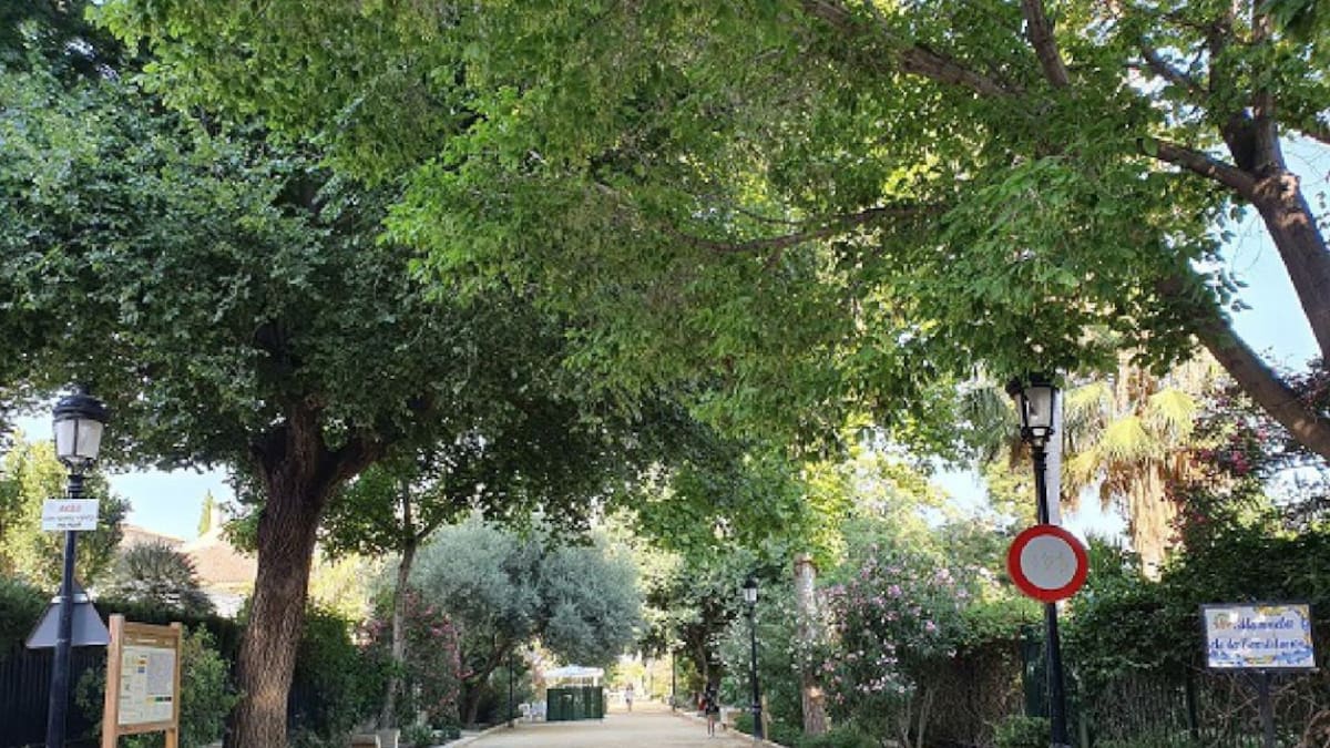 Fumigación en Las Alamedas de Lorca