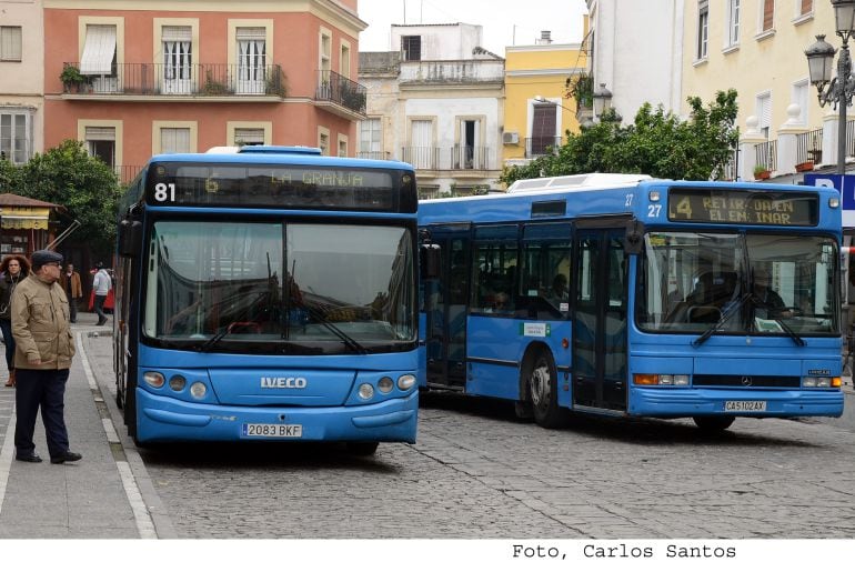 Esteve se recupera al tránsito de autobuses urbanos