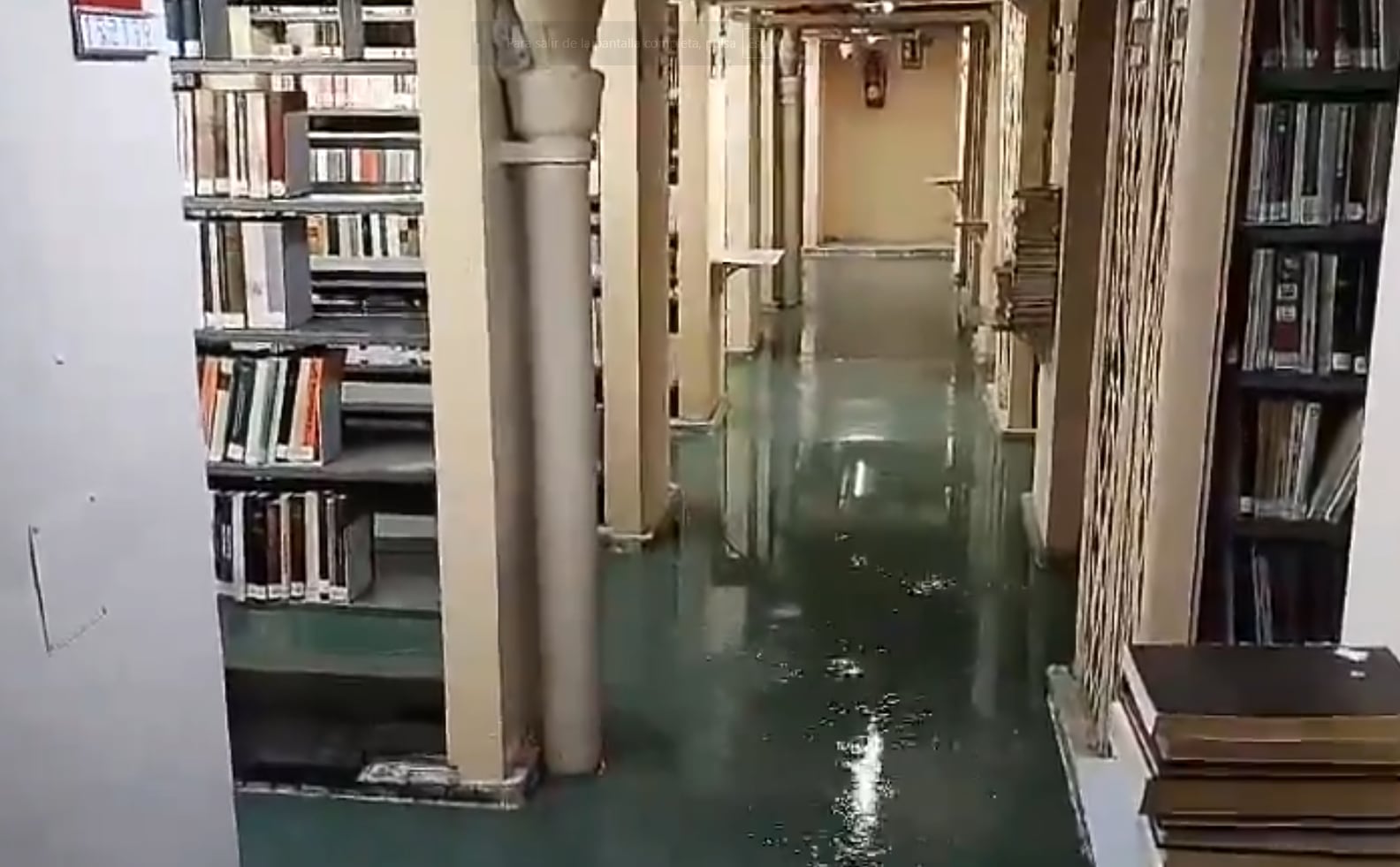 Imágenes de la Biblioteca Nacional inundada