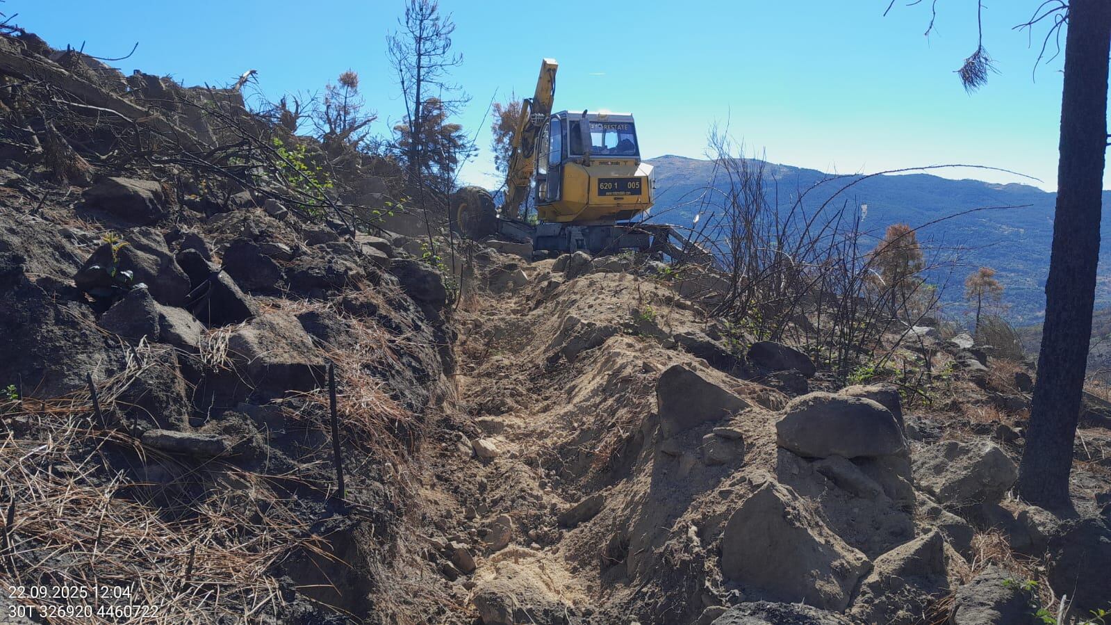 Trabajos de consolidación del terreno mediante fajinas y albarradas
