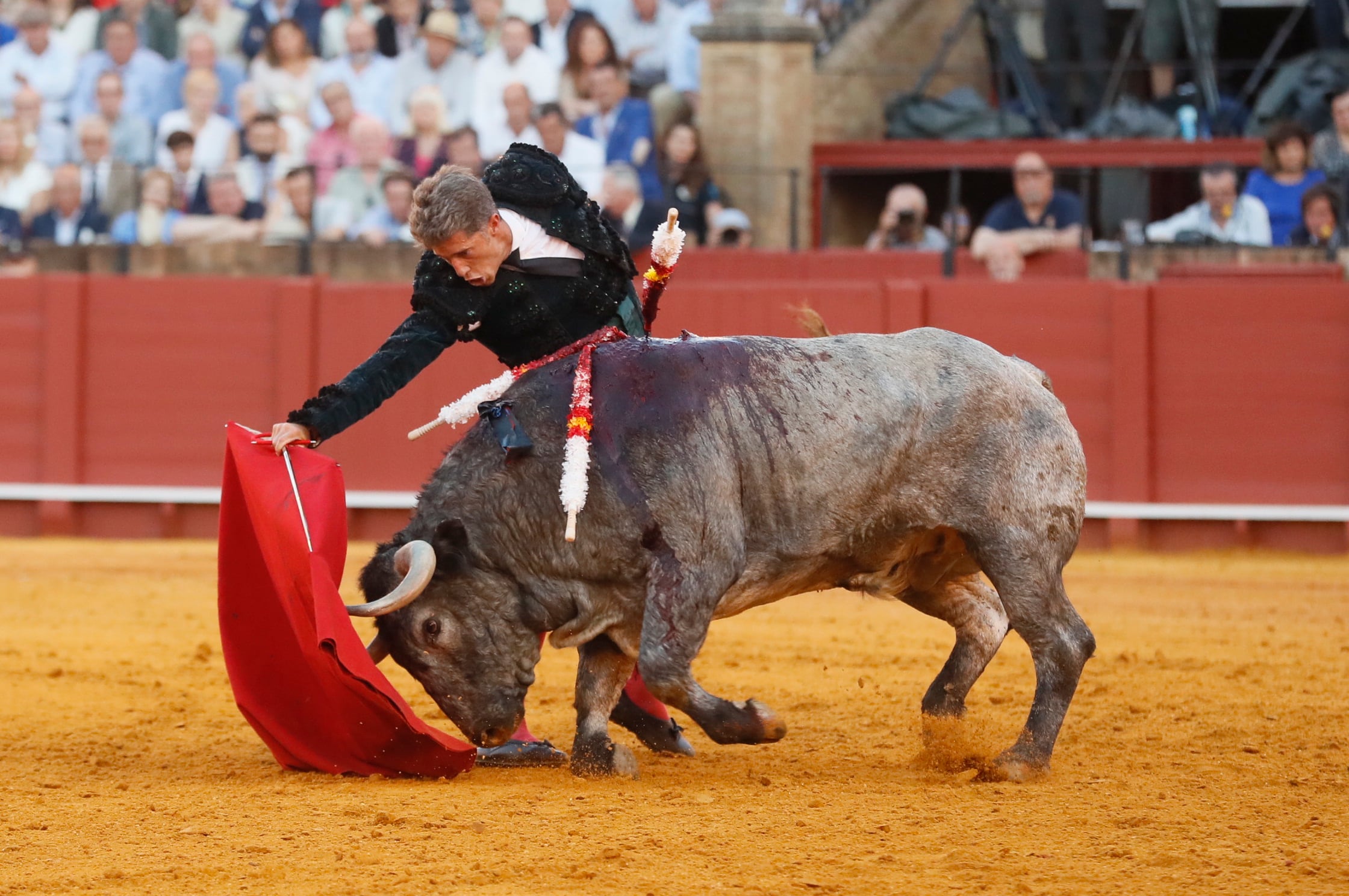 SEVILLA, 22/04/2023.- El diestro Manuel Escribano con su segundo toro durante la corrida celebrada este sábado en la Real Maestranza de Sevilla, lidiando toros de Victorino Martín. Comparte cartel con El Cid y Emilio de Justo. EFE/ José Manuel Vidal
