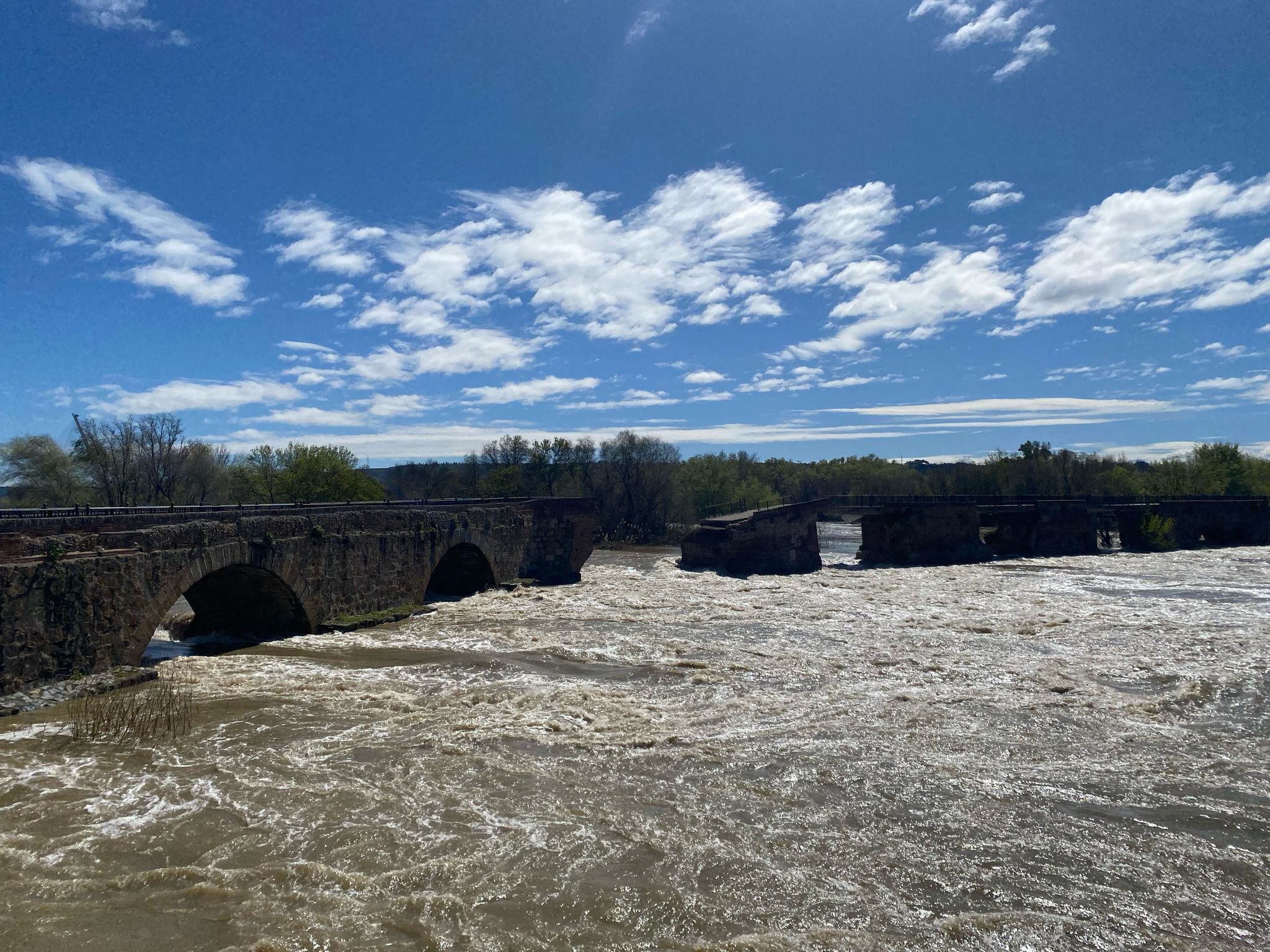 Estado del puente viejo y del río Tajo en Talavera el lunes 24 de marzo