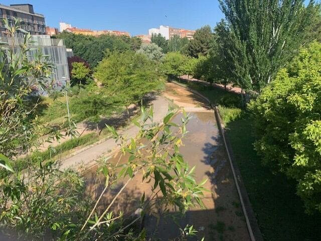 Canal del Barranco del Alamín