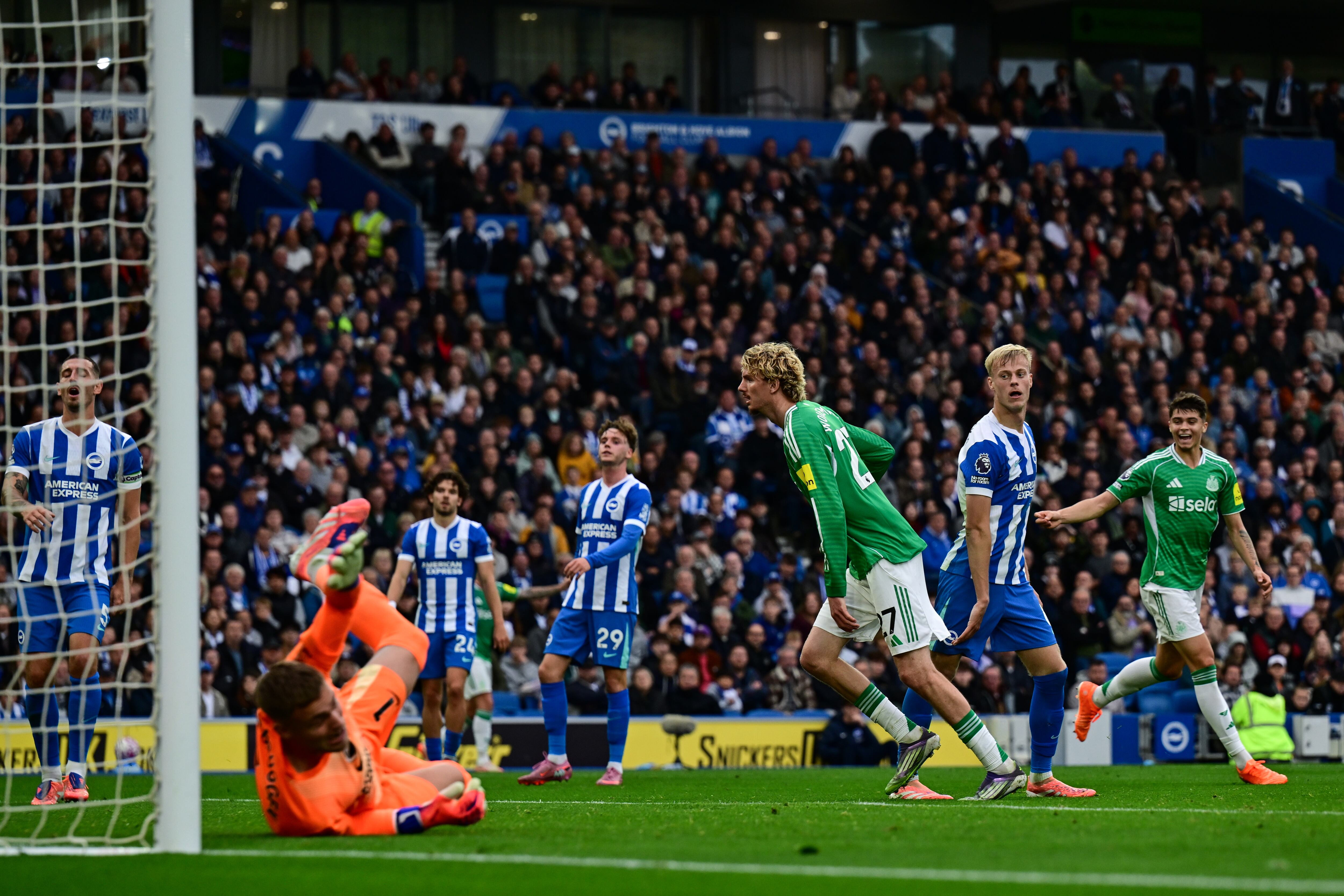 Nick Woltemade celebra su gol ante el Brighton. (Serena Taylor/Newcastle United via Getty Images)