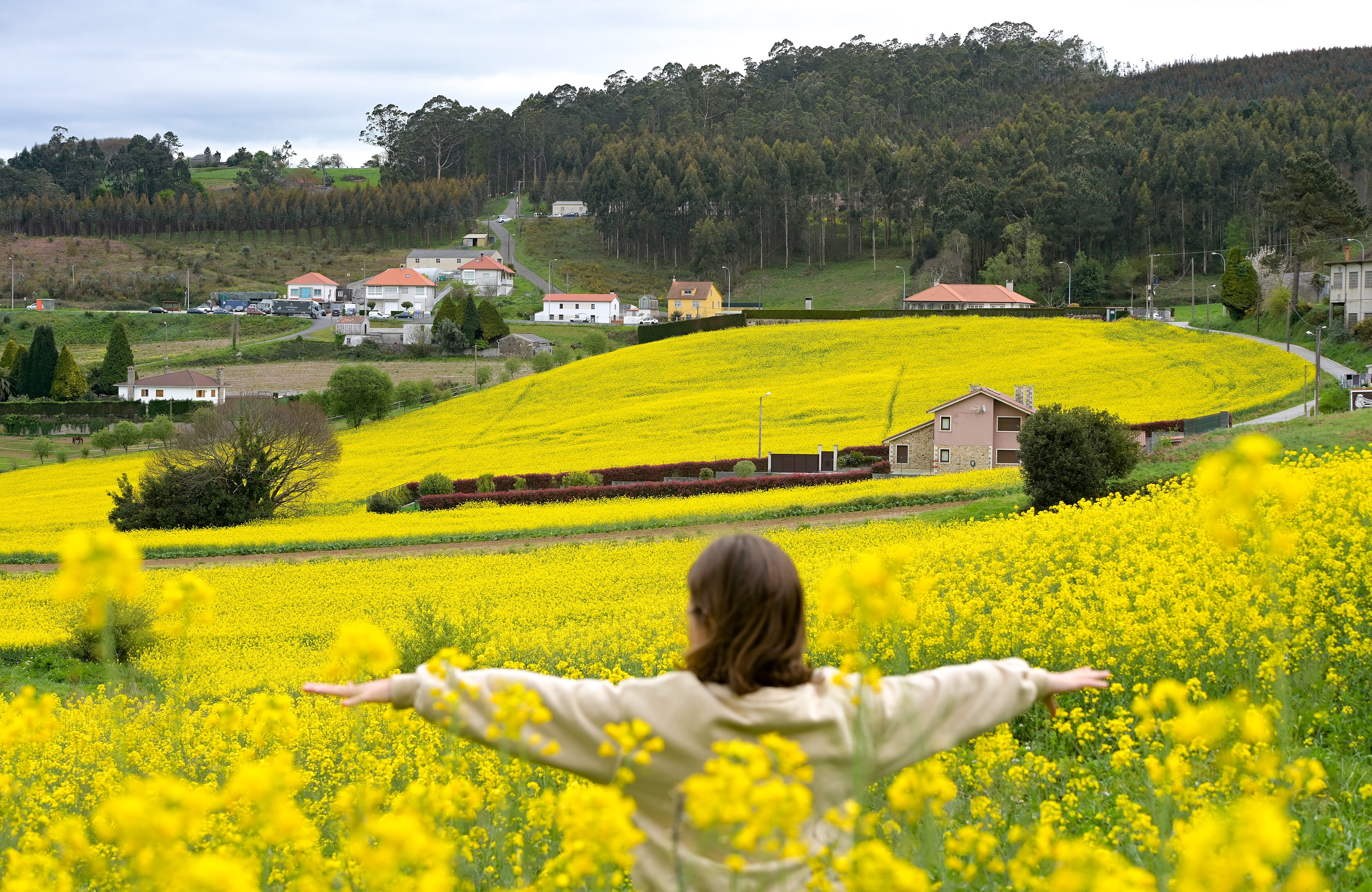 Una joven, frente a una plantación de colza en Paiosaco (A Laracha, A Coruña).