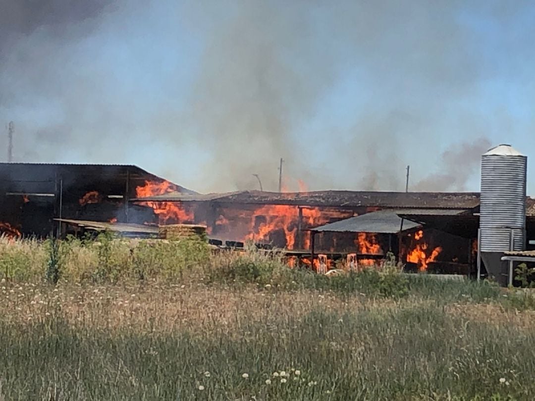 Incendio en una explotación ganadera en Carrión de los Condes