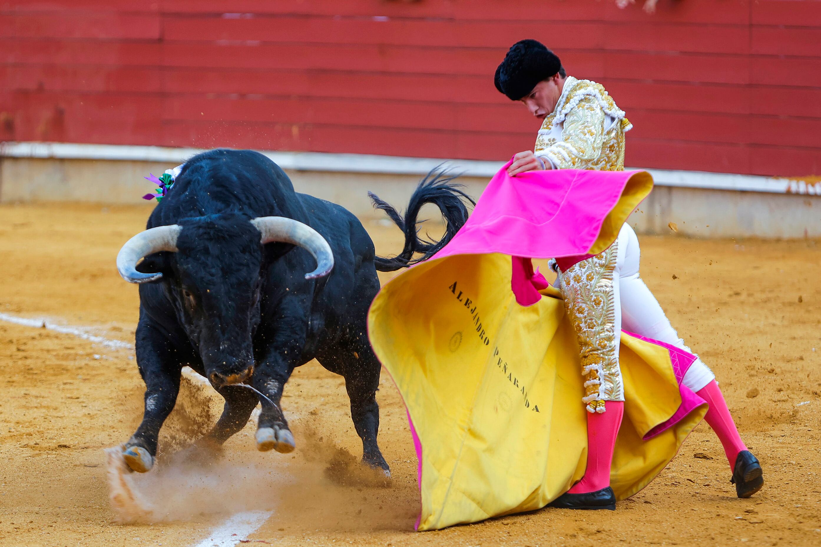 CIUDAD REAL, 21/08/2025.- El diestro Alejandro Peñaranda torea un toro en Ciudad Real. EFE/ Julio César Sánchez