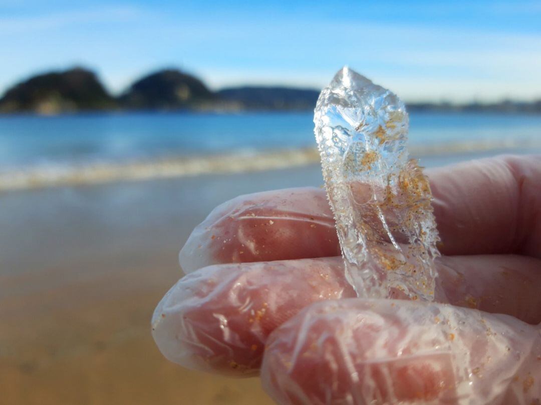 Ejemplares de las conocidas como salpas aparecen en la playa de Ondarreta.