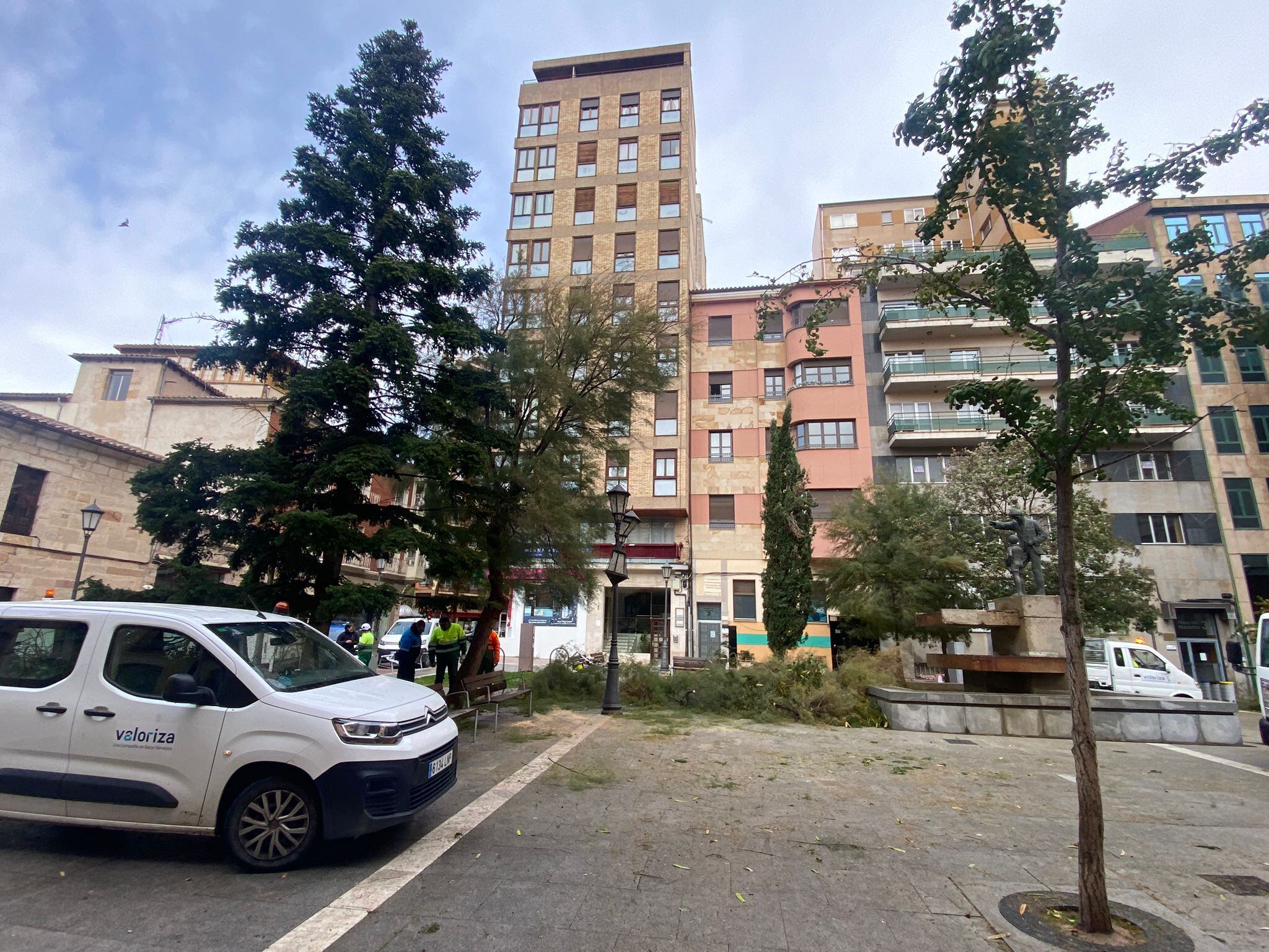 Retirada de árboles en la Plaza del Maestro en Zamora