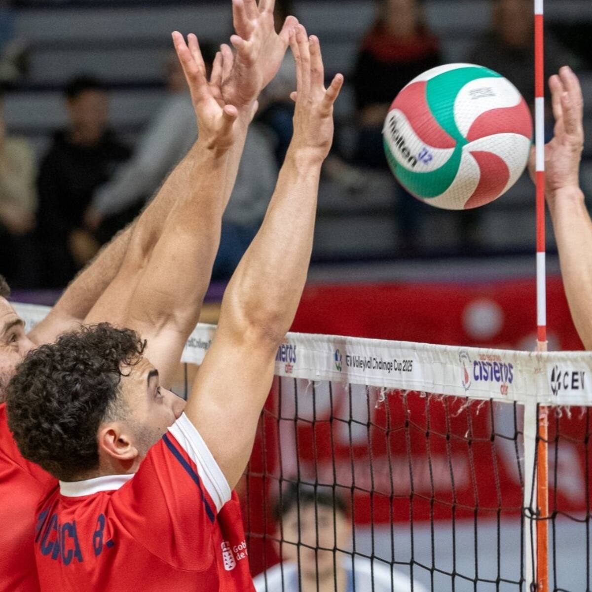 El CD Cisneros Alter quiere seguir vivo en Europa: "Estamos muy entusiasmados por pasar de ronda"