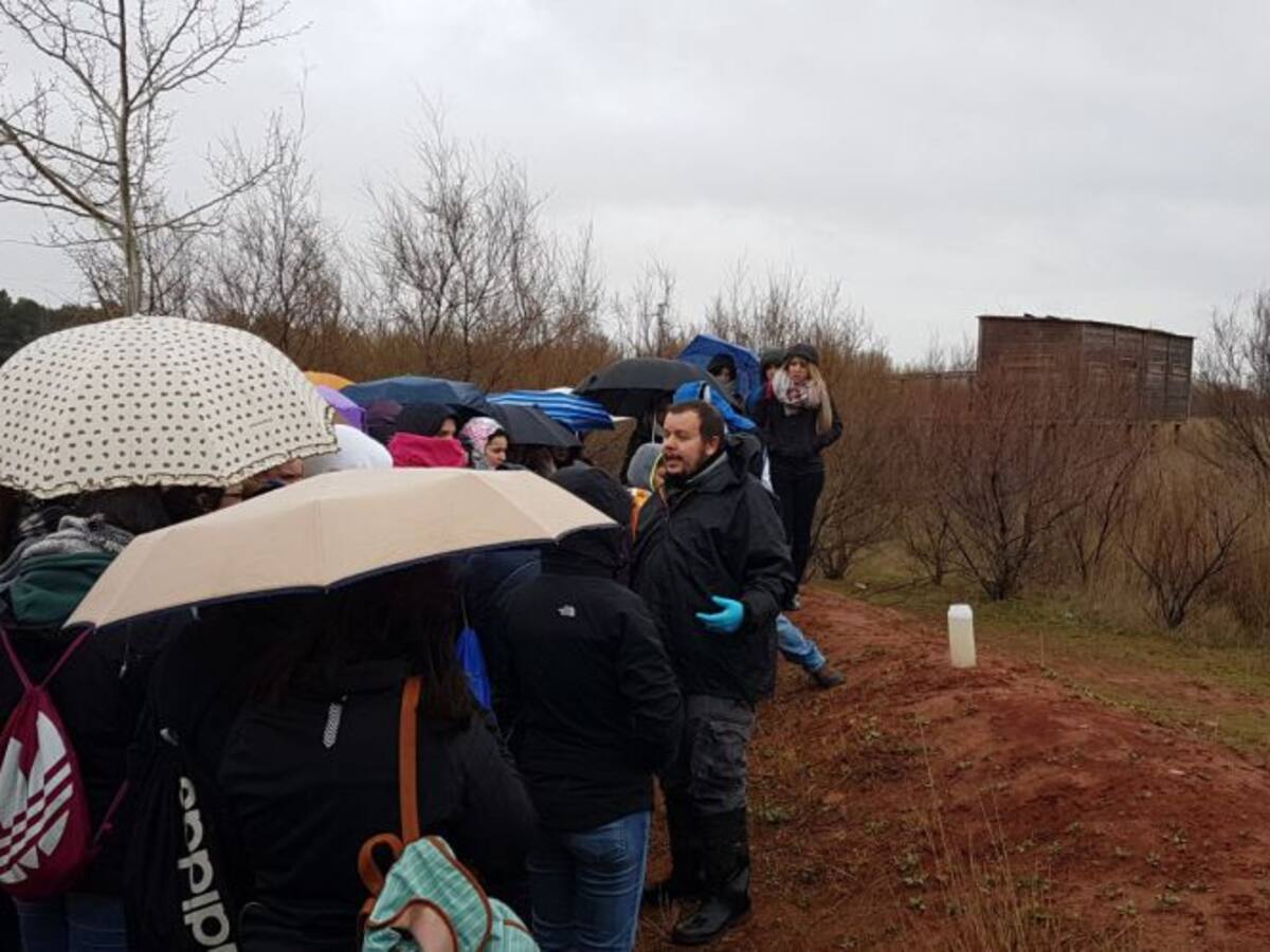 CurioSERando: profesor de profesores