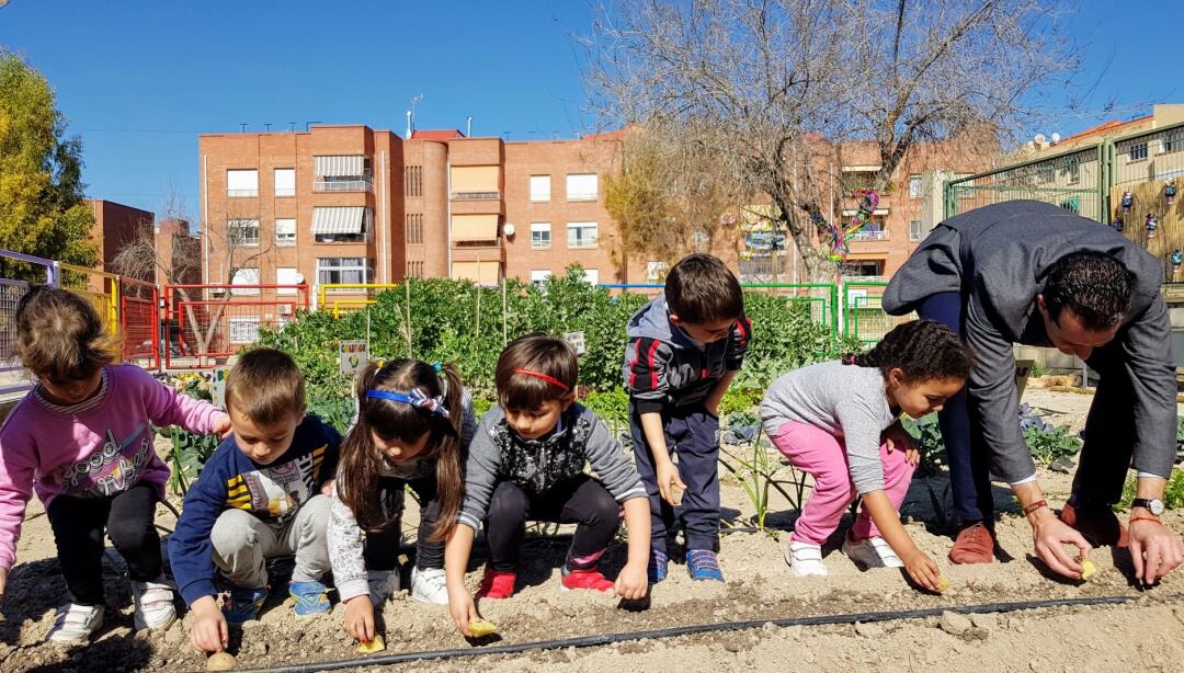 Imagen del huerto ecológico de la Escuela Infantil Santa Infancia de Elda