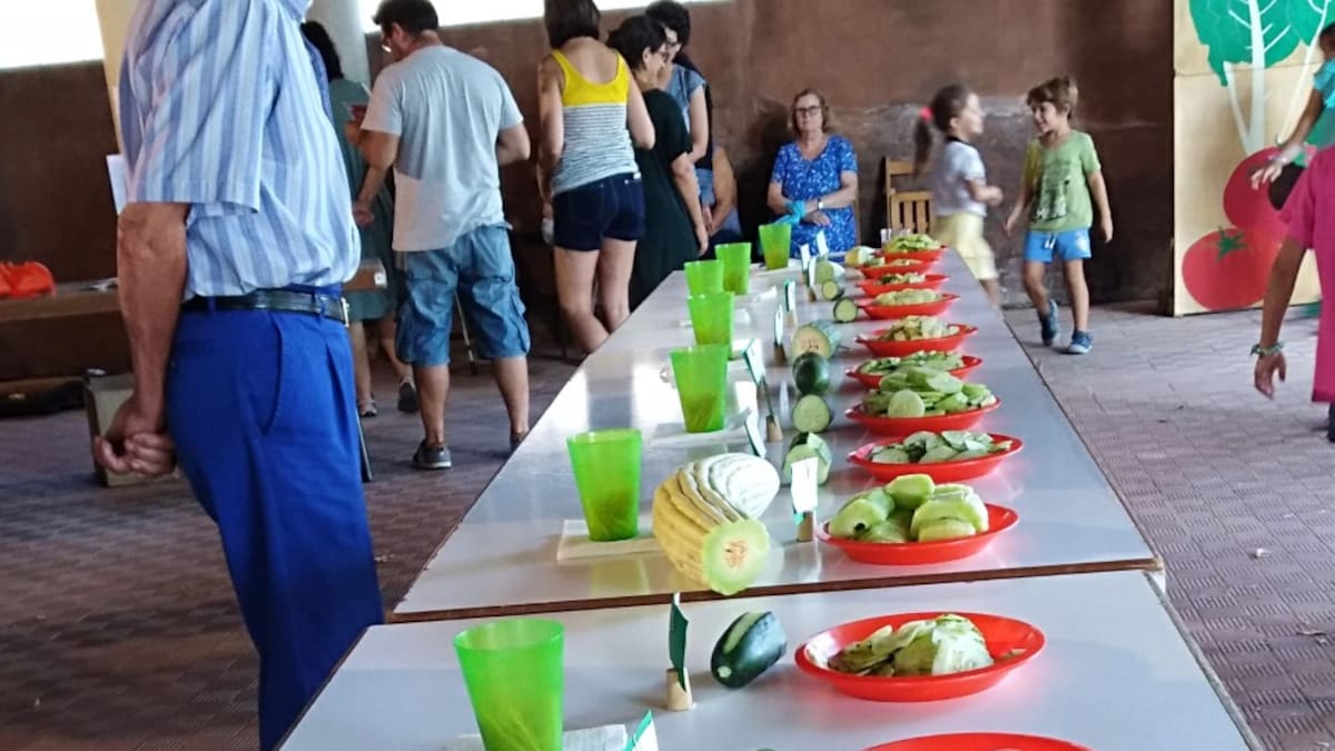 Un pepino de variedad tradicional de Monzón gana la muestra de hortalizas de Peraltilla