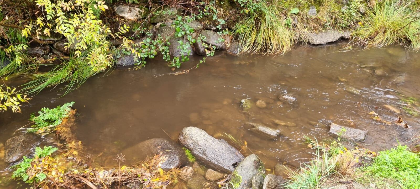Aguas turbias en la zona de Forcadura en Vigo de Sanabria