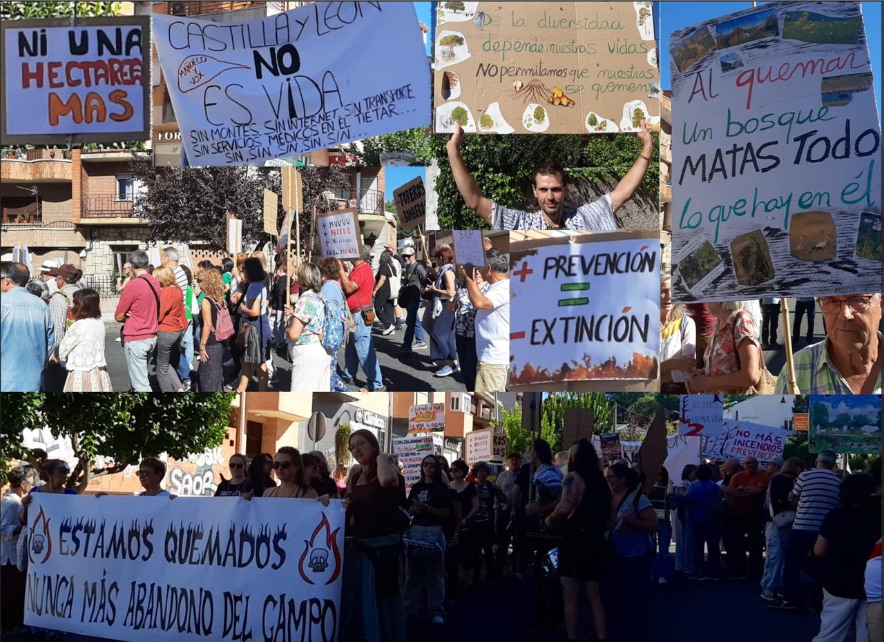 Distintos carteles portados por los manifestantes