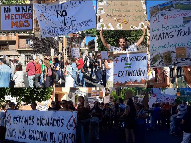 Distintos carteles portados por los manifestantes