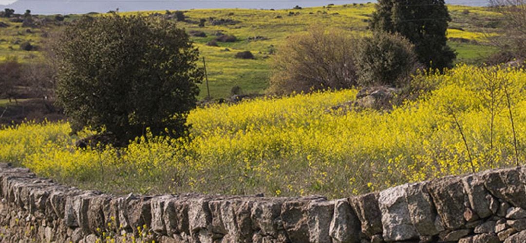 Entorno rural del municipio