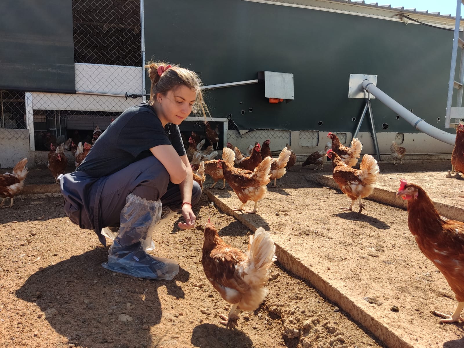 La Diputación de Zaragoza vuelve a financiar con 100.000 euros.