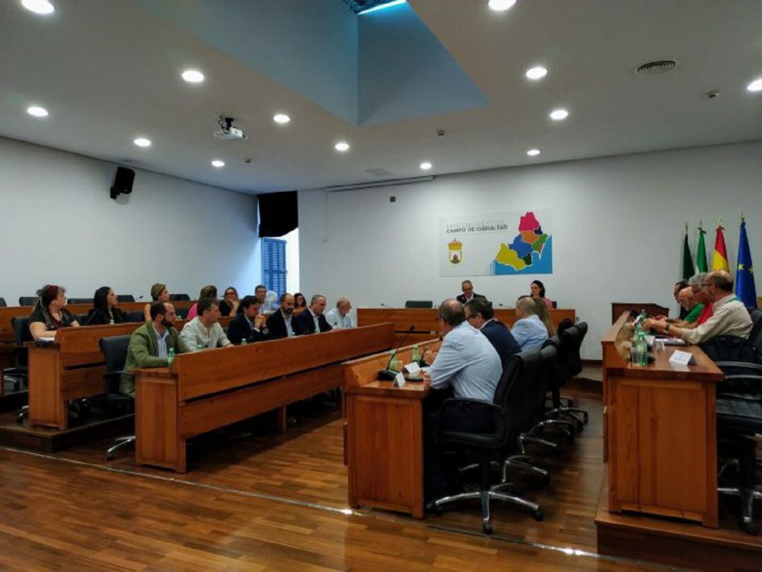 Reunión del Consejo Económico y Social del Campo de Gibraltar.