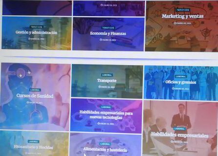 Relación de cursos de formación que se ofertan en la plataforma de la Escuela virtual del IMPEFE a lo largo de los próximos 12 meses