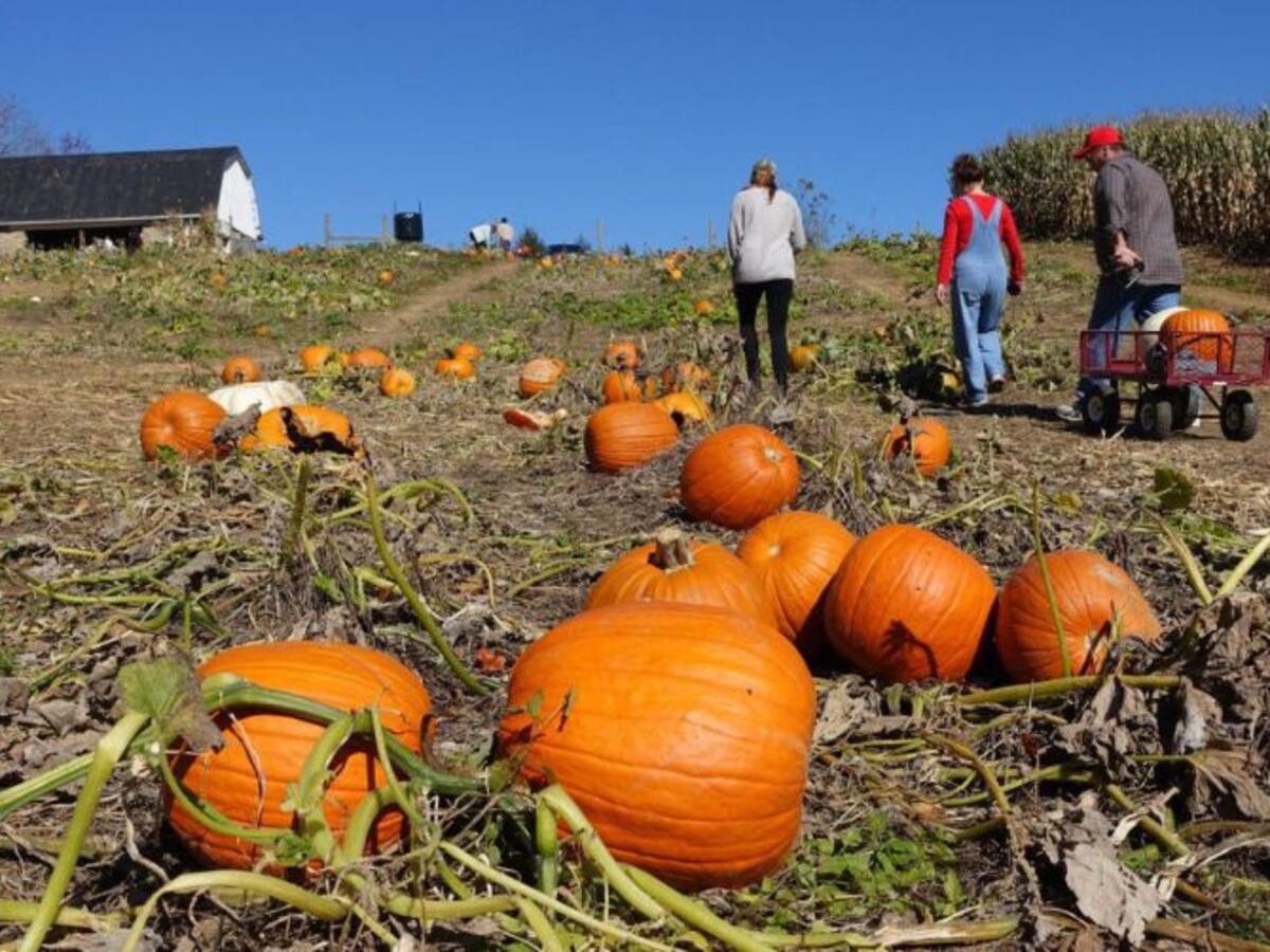 La vuelta al mundo en Halloween