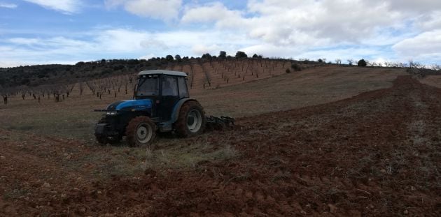 Es tiempo para preparar las tierras y la poda y, desde el amanecer, hombres solos suben hilo arriba y bajan