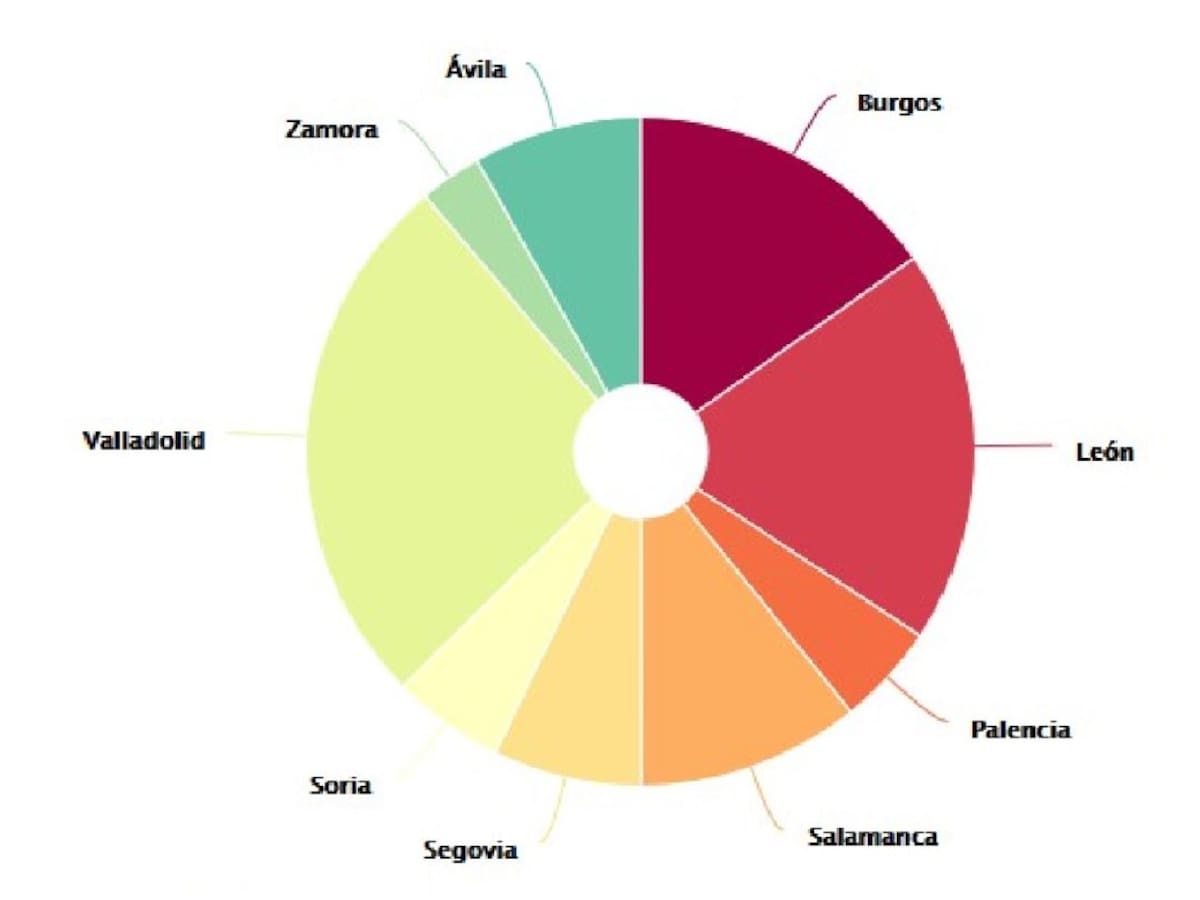 Zamora es la provincia con menos test realizados