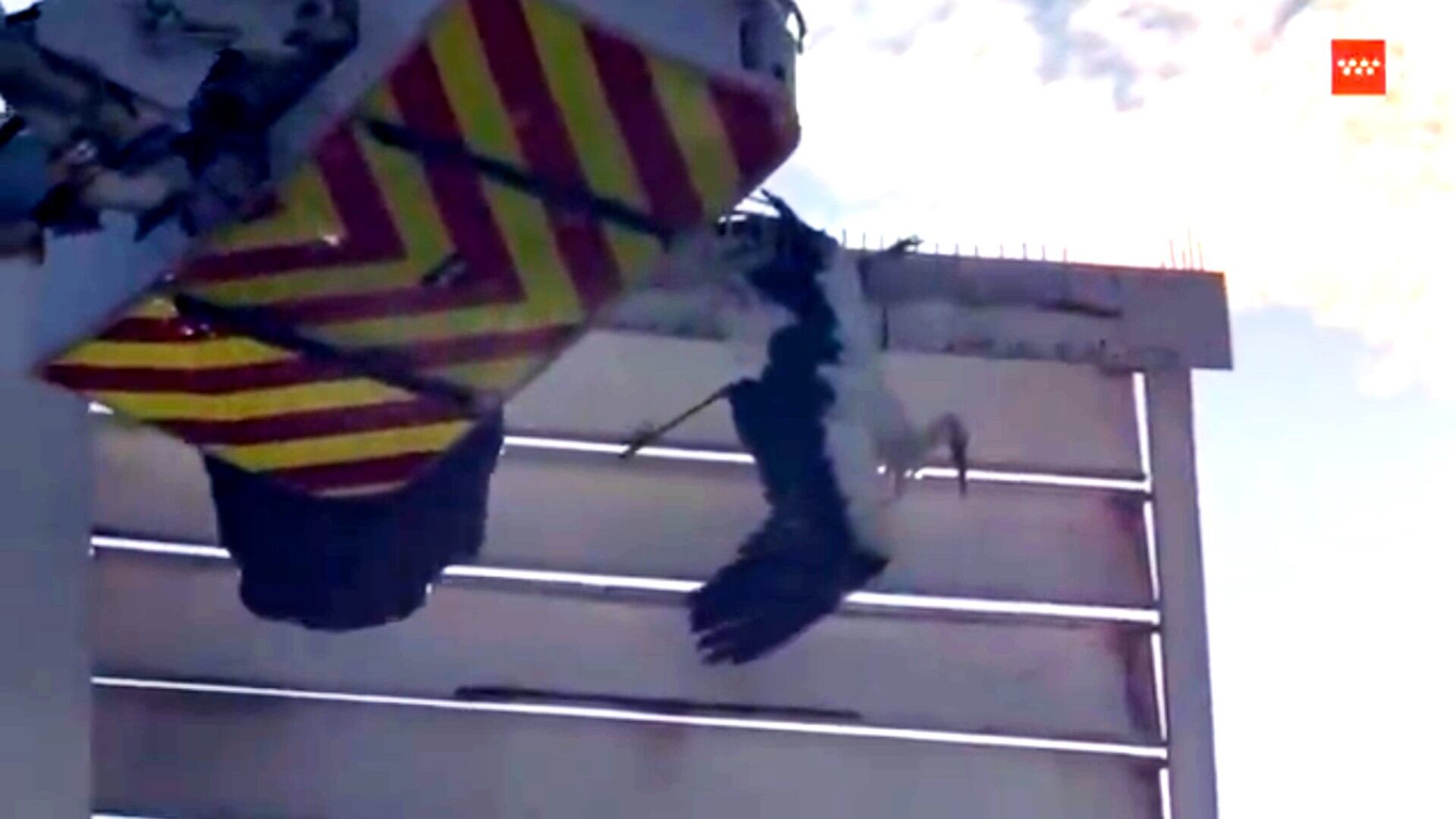 La cigüeña accidentada en San Martín de la Vega