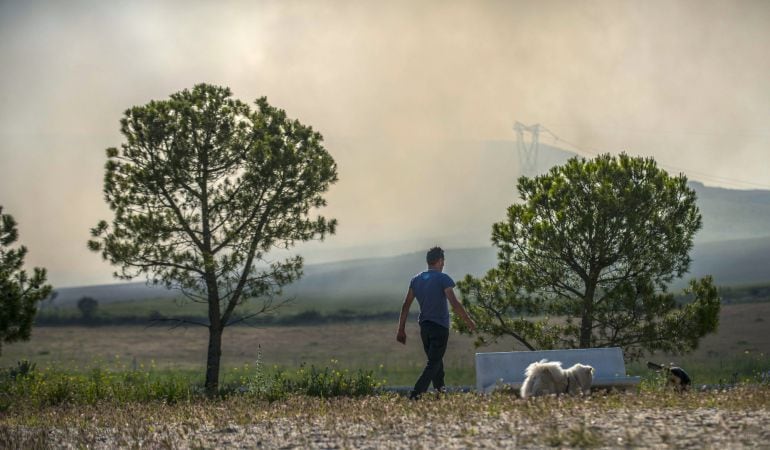 Un hombre pasea hoy a su perro por un paraje donde se observa al fondo el humo del incendio en el cementerio de neumátivos de Seseña (Toledo)