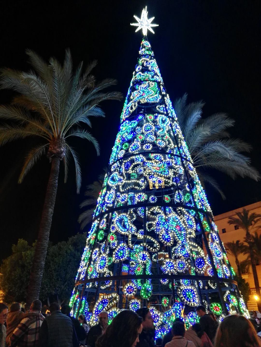 Imagen del árbol de Navidad que se instala en la plaza del Arenal
