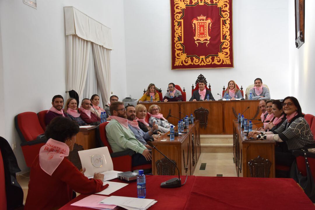 Pleno municipal extraordinario en Baza