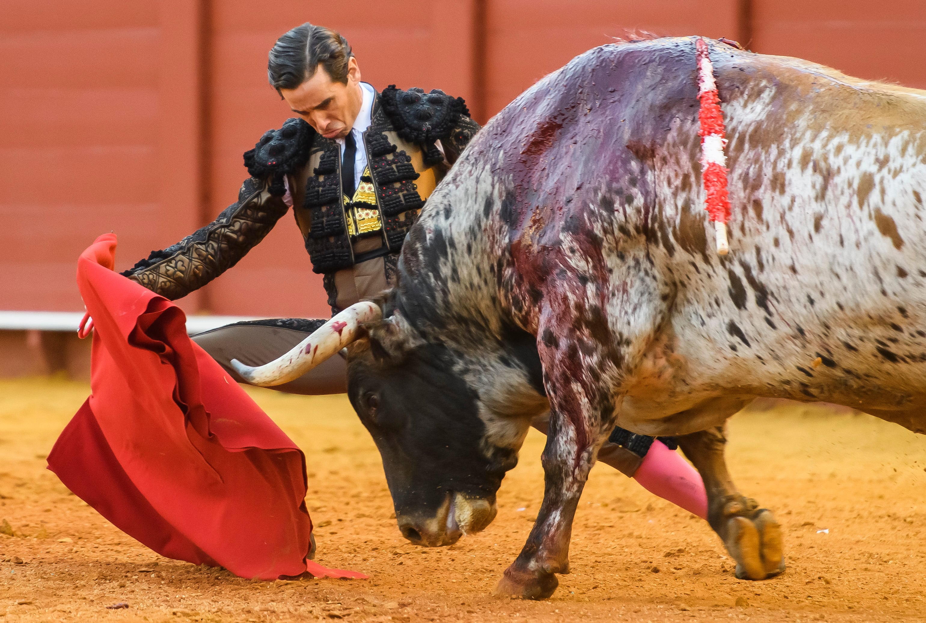 SEVILLA. 28/04/2023. - El Diestro Juan Ortega en su faena durante la corrida celebrada hoy viernes en la Plaza de la Maestranza, en Sevilla. EFE/ Raúl Caro.
