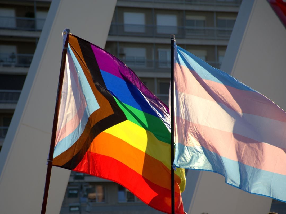 Bandera Trans y LGTB durante una manifestación del Orgullo en València. 