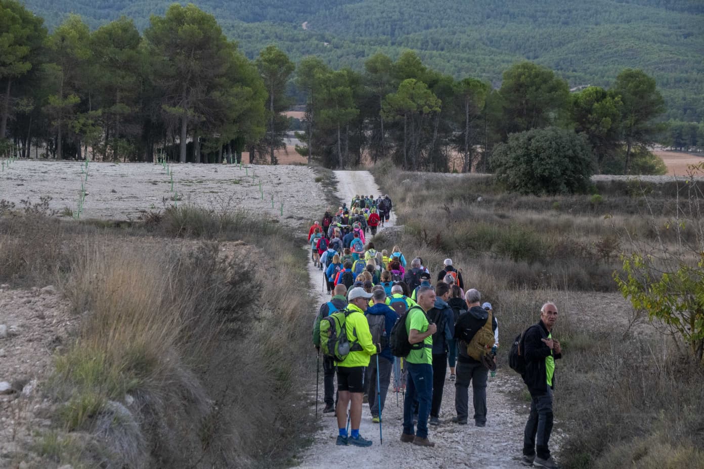 Aviana en Banyeres de Mariola