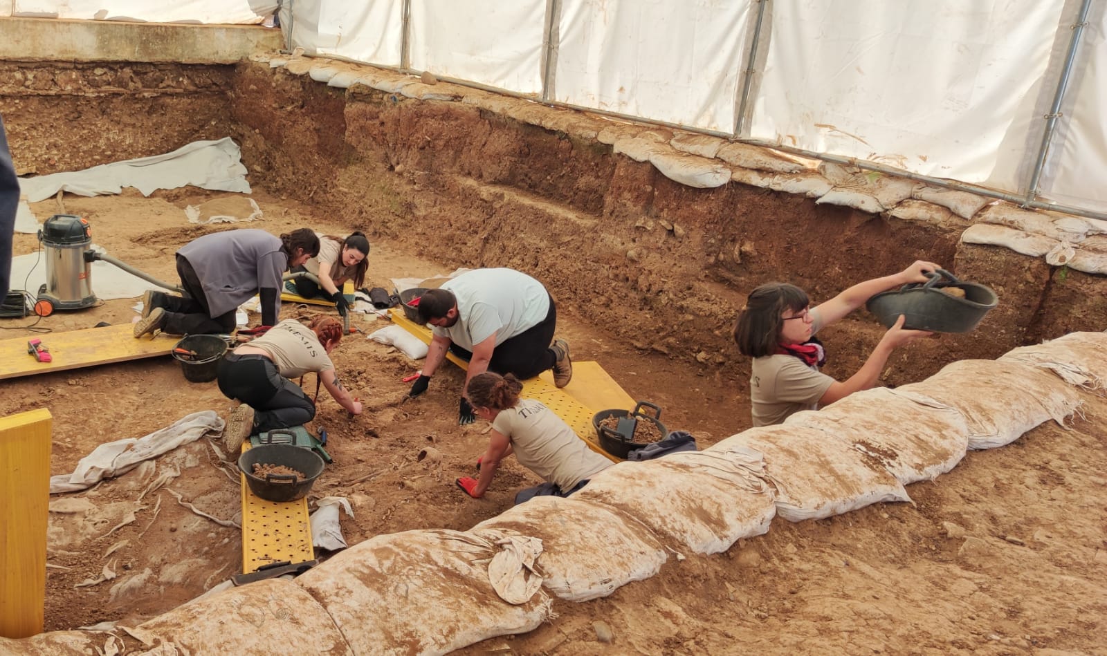 Un equipo multidisciplinar de Themis Córdoba trabajando en la exhumación de las fosas del Cementerio de La Salud en Córdoba