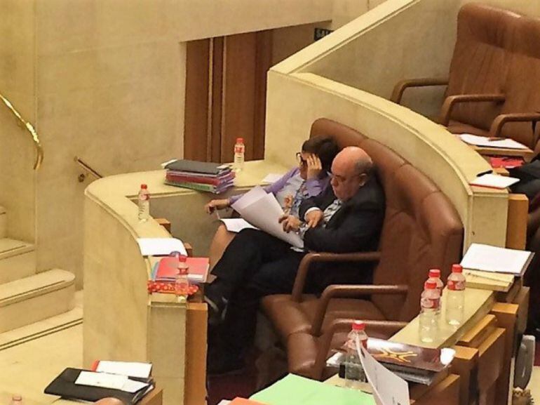 María Luisa Real en el hemiciclo.