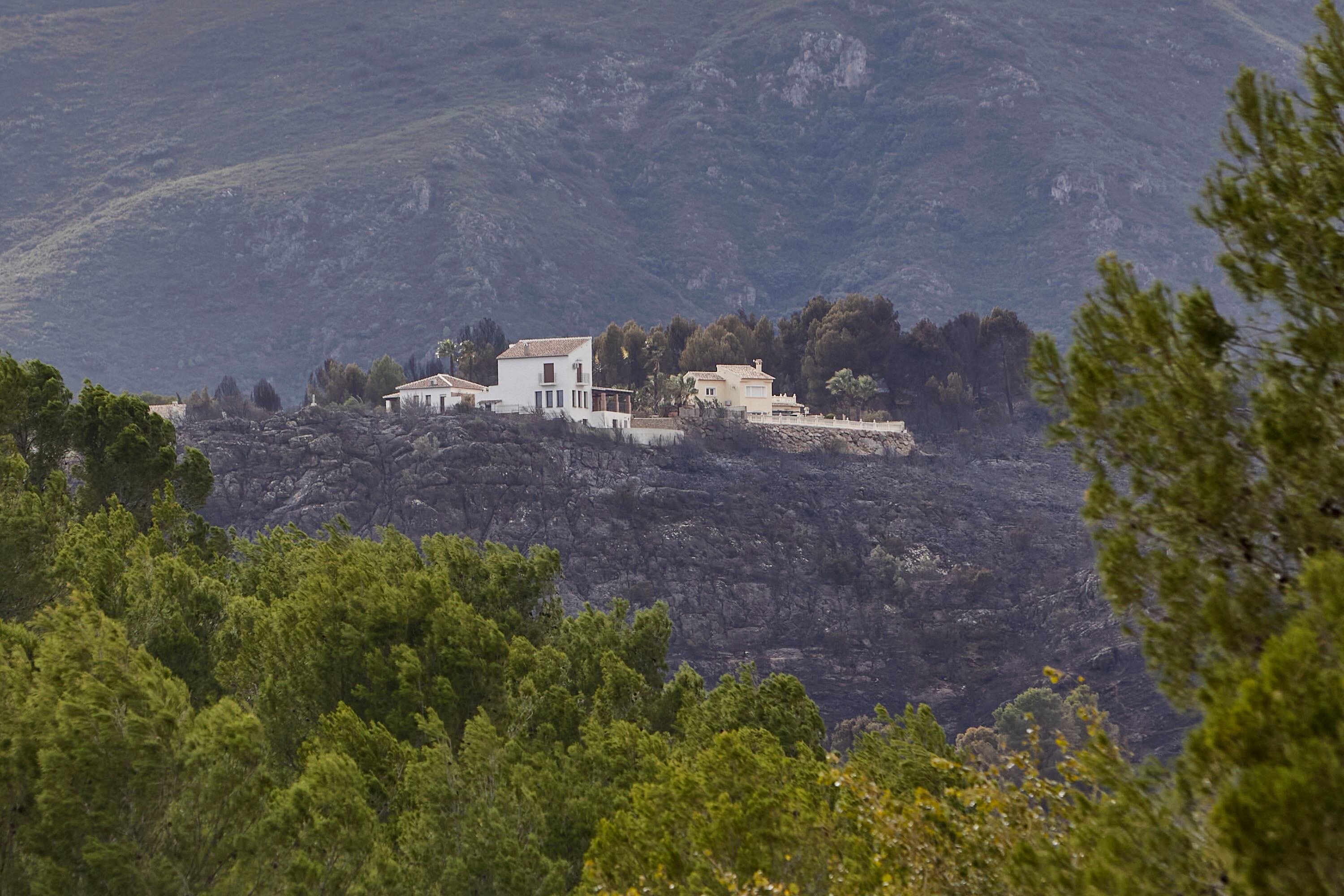 Zona afectada por el  incendio forestal iniciado el jueves en Montitxelvo