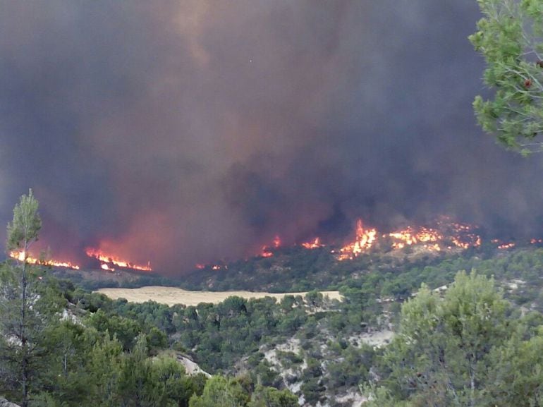 Incendio forestal de Quesada del pasado verano que devoró casi 10.000 hectáreas