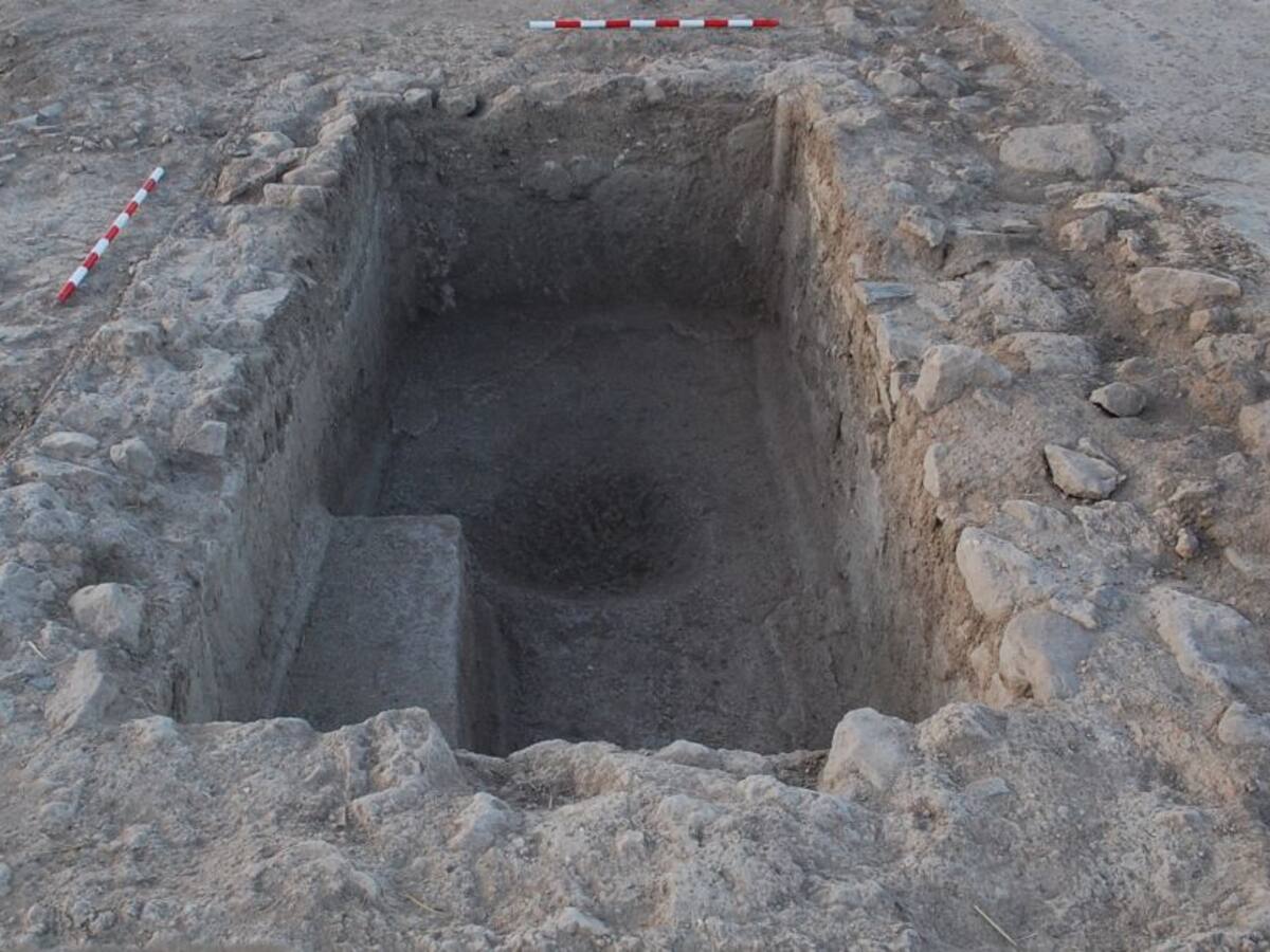 Hallada una gran bodega romana en el Peral de Valdepeñas