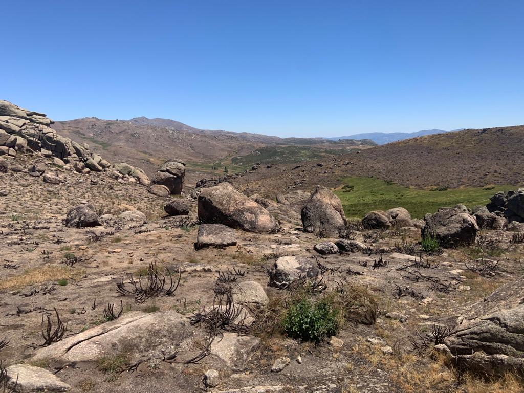 La Sierra de la Paramera un año después del incendio en el que se quemaron 22.000 hectáreas.