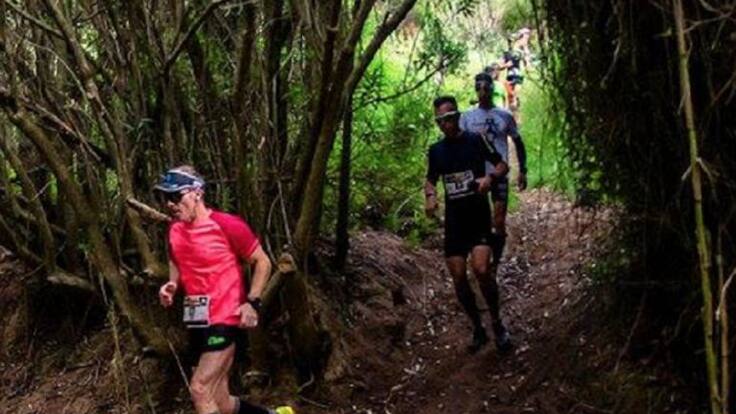 Viajeros en Forma Trail Alborache 26-05-2018