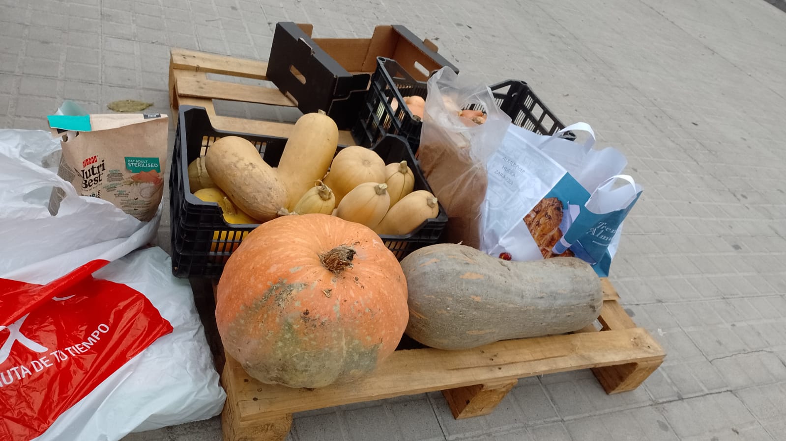 Productos donados para Valencia en el Mercado Agroecológico