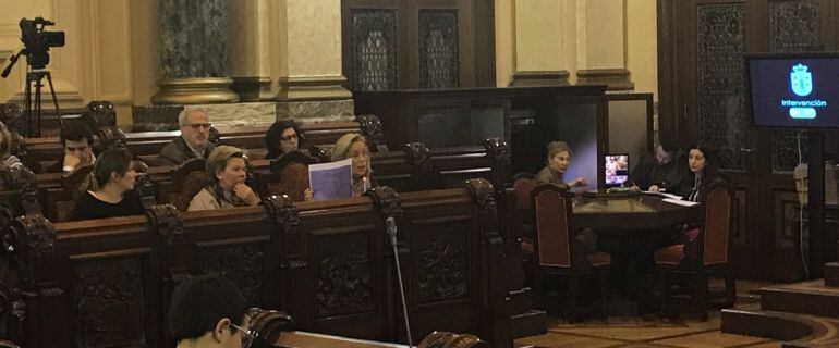 Rosa Gallego interviene en el Pleno de A Coruña