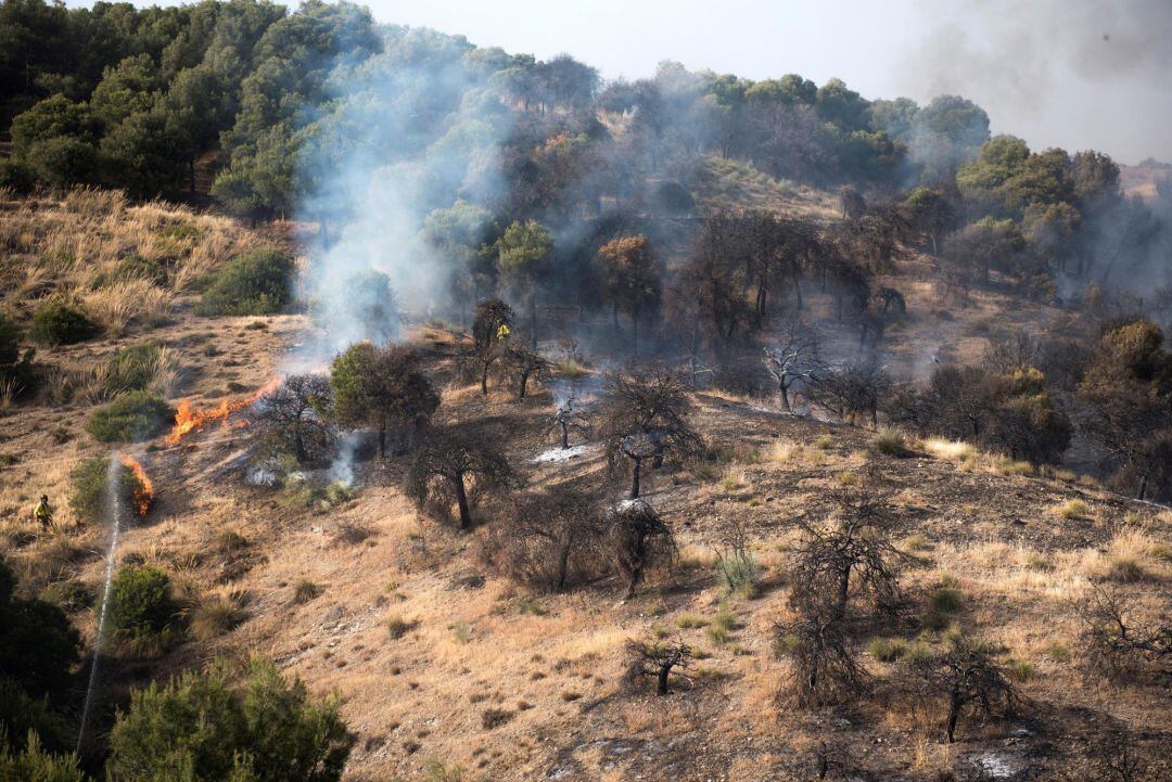 La Policía Nacional ha detenido a una mujer de 42 años como presunta responsable del incendio forestal declarado  en un paraje del Sacromonte, en Granada. 