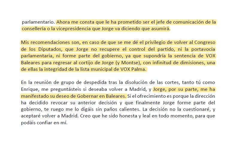 Fragmentos del informe enviado por Patricia de las Heras a la dirección estatal de Vox