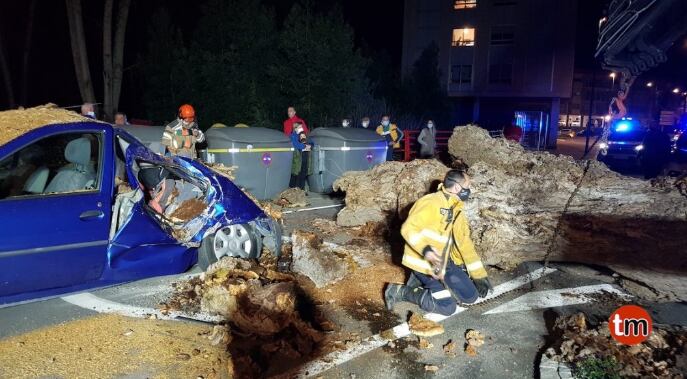 Bomberos cortando el árbol