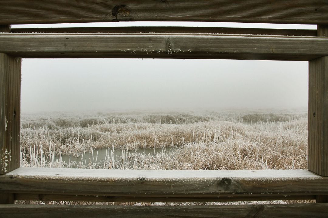 Cencellada y niebla desde el mirador de &#039;El Prao&#039; en la Laguna de La Nava